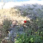 Apartmán Nikola Luxury Borik *