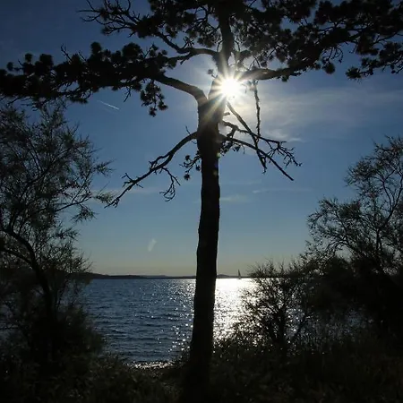 Nikola Luxury Borik Lejlighed