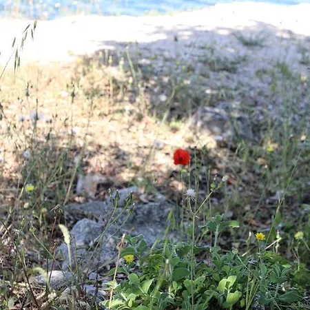 Lejlighed Nikola Luxury Borik *